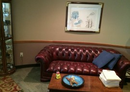 Psychologist couch