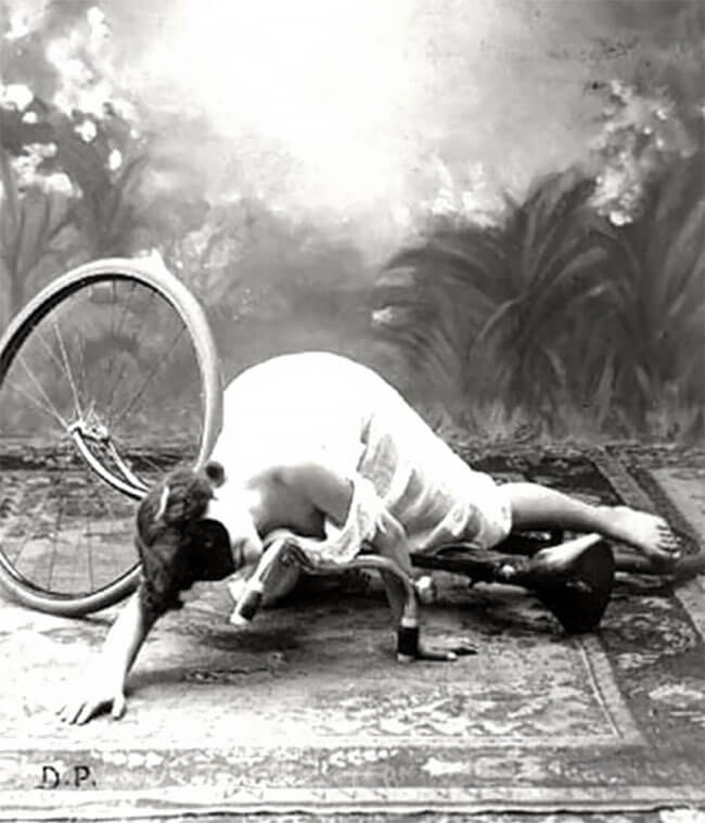 SelfDestructive Patients David B. Adams, Ph.D., FAACP, board