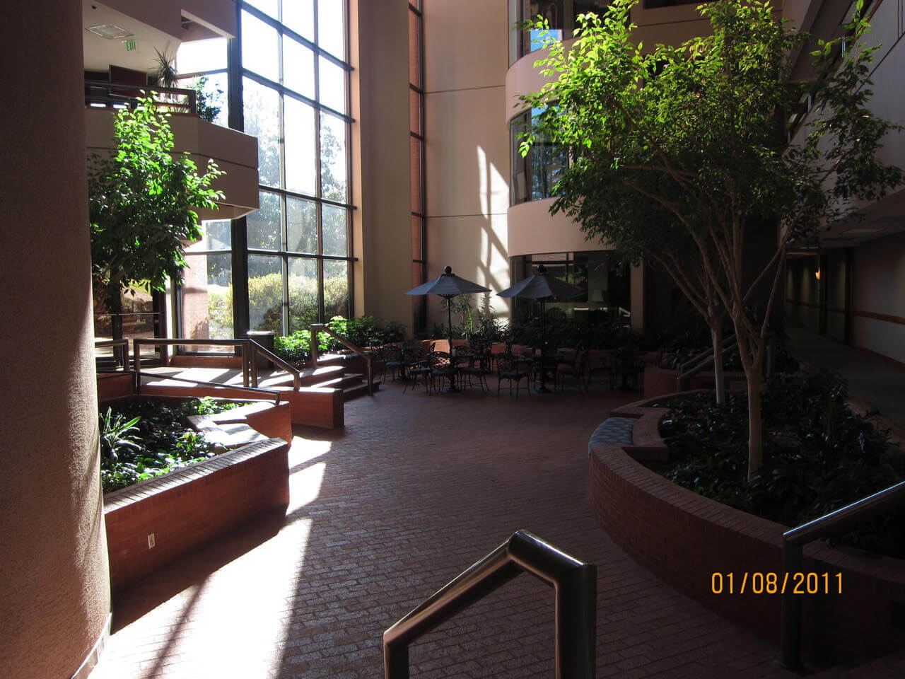 David B Adams, Ph.D, ABPP, FAACP Atlanta Psychologist